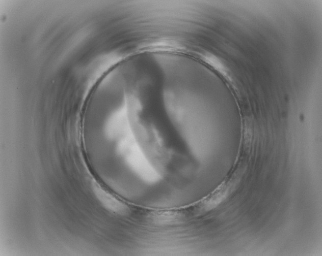 X0000066971474200603271155