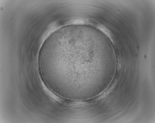 X0000066971475200603271155