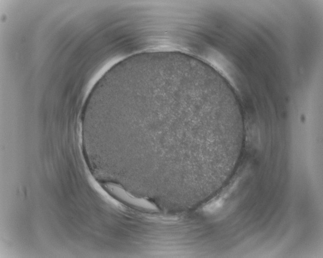 X0000066971476200603271155