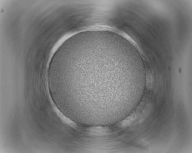 X0000066971478200603271155