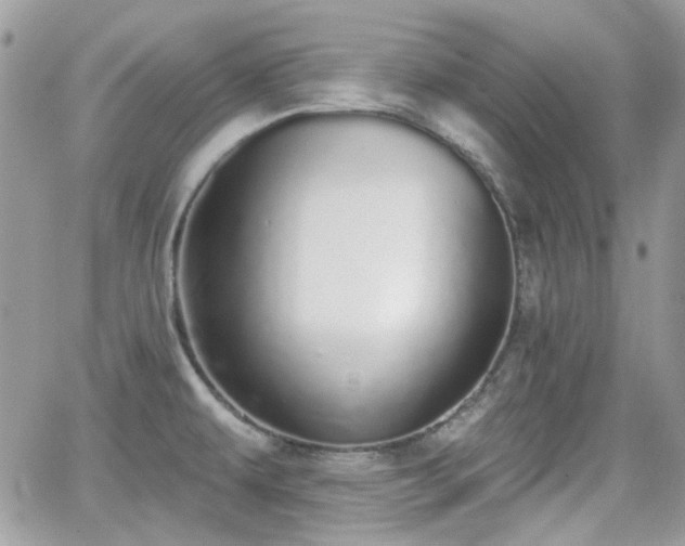 X0000066971479200603271155