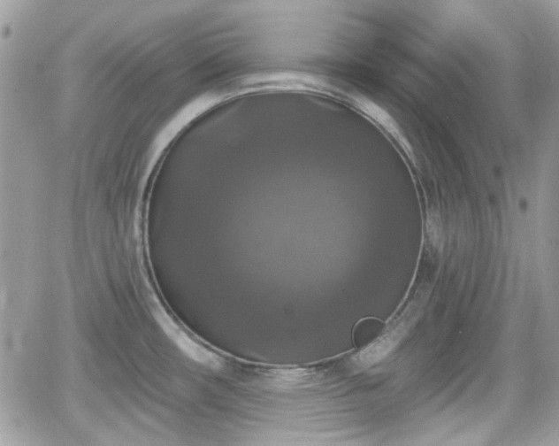 X0000066971482200603271155