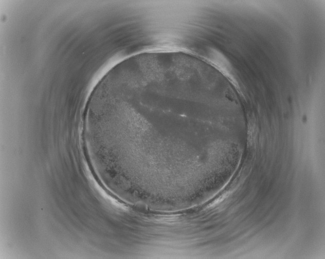 X0000066971484200603271155