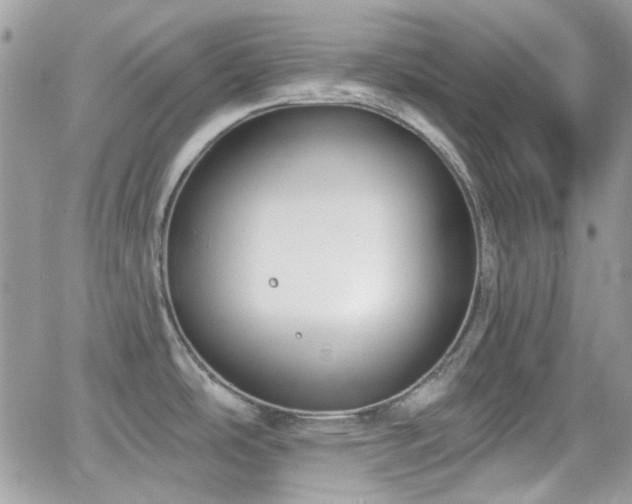 X0000066971486200603271155