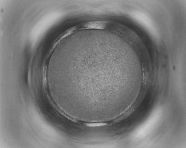 X0000066971487200603271155