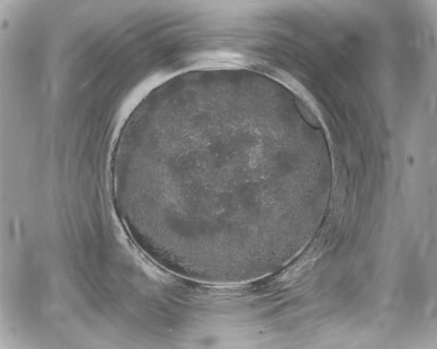 X0000066971488200603271155