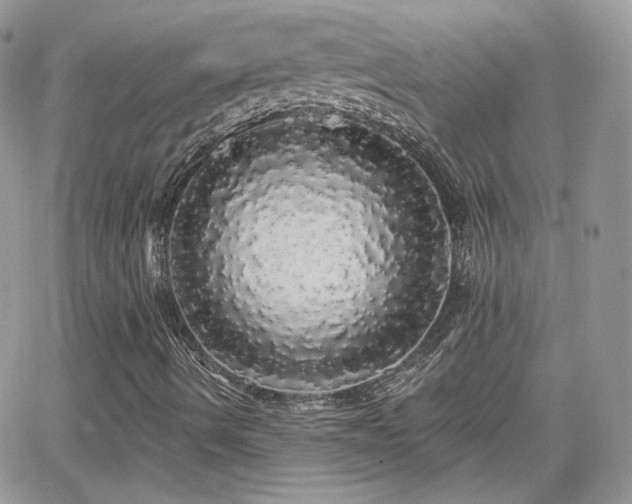 X0000066971490200603271154