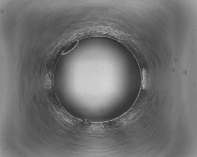 X0000066971491200603271154