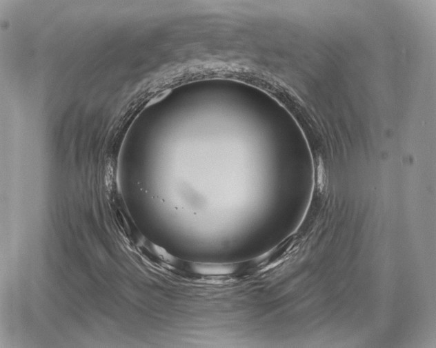 X0000066971492200603271154