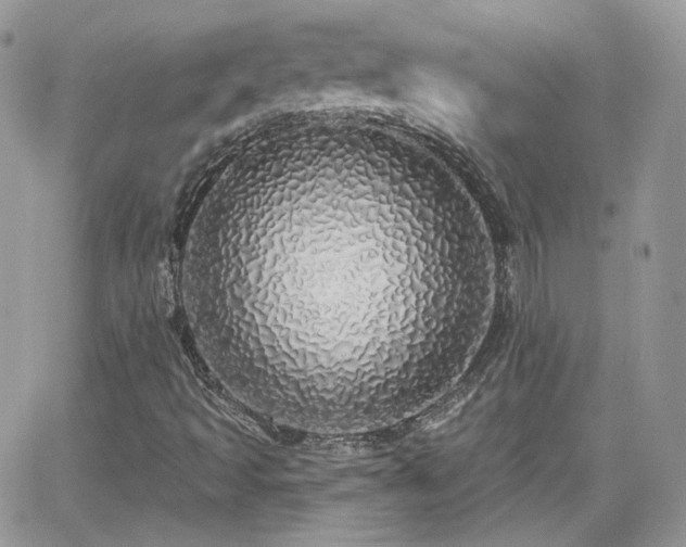 X0000066971493200603271154