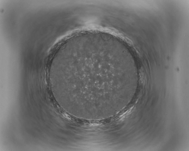 X0000066971494200603271154