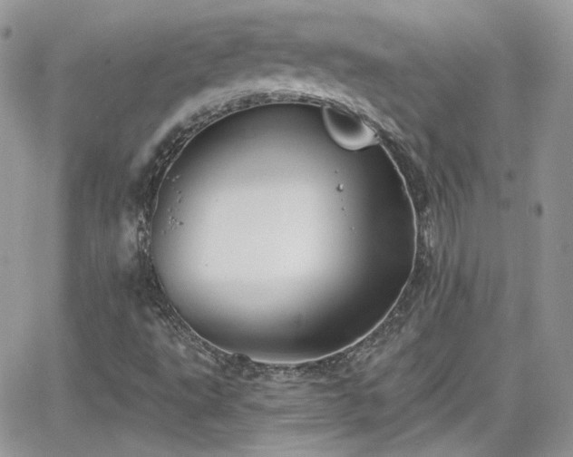 X0000066971495200603271154