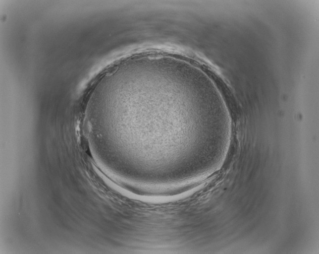 X0000066971496200603271154