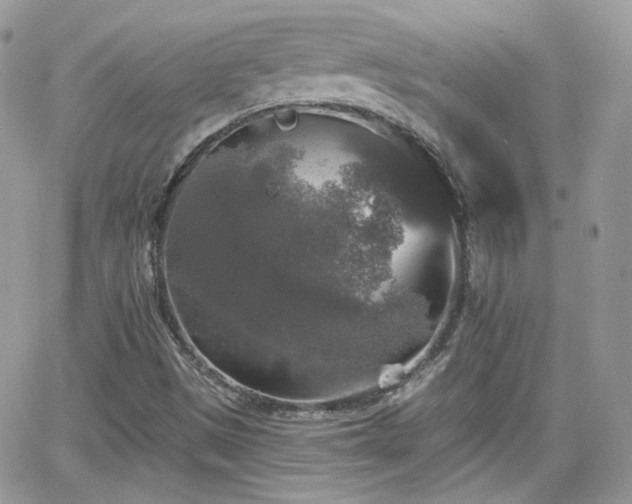 X0000066971497200603271155