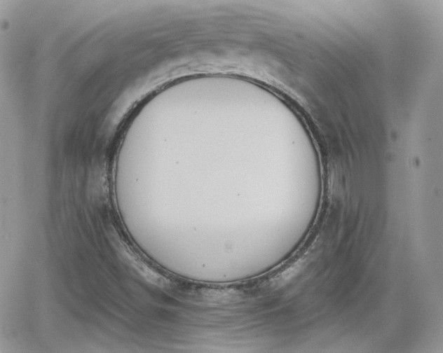 X0000066971498200603271155