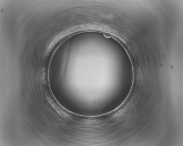 X0000066971499200603271155