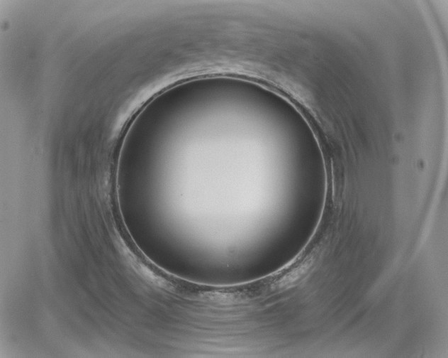 X0000066971500200603271155