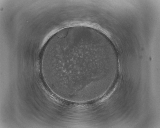 X0000066971501200603271155