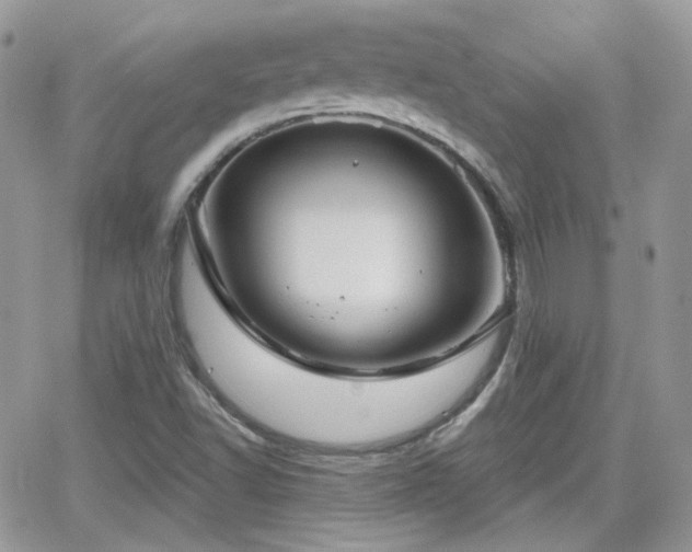 X0000066971502200603271155