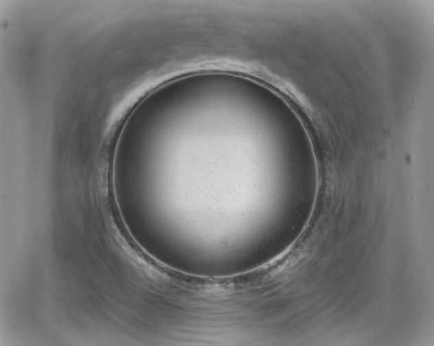 X0000066971504200603271155