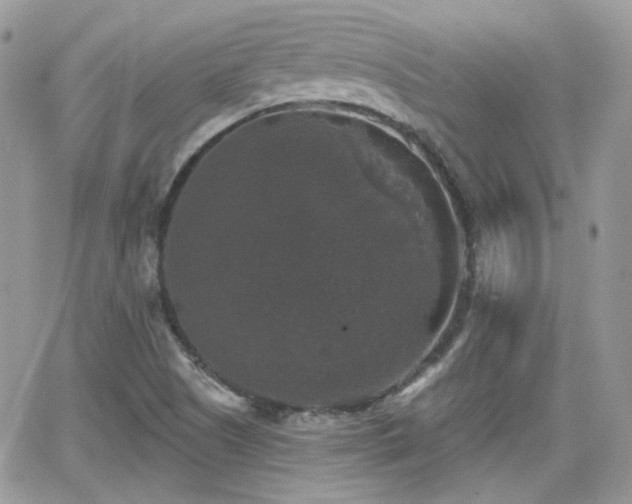 X0000066971505200603271155