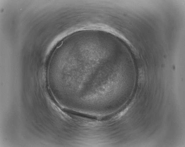 X0000066971506200603271155