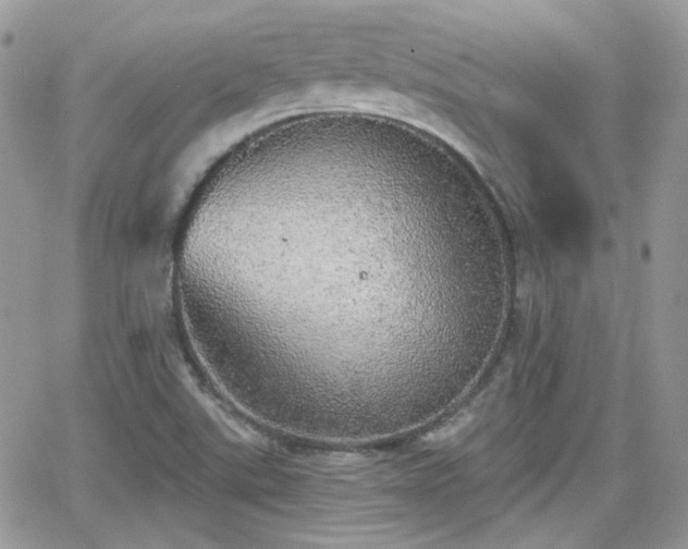 X0000066971507200603271155