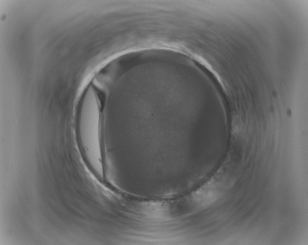 X0000066971508200603271155