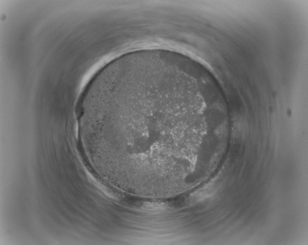 X0000066971509200603271155