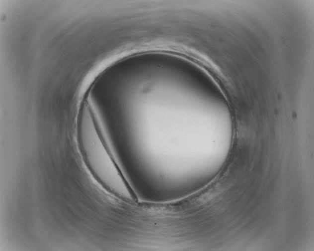 X0000066971512200603271155