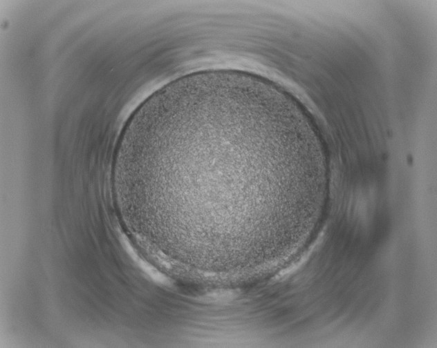 X0000066971513200603271155