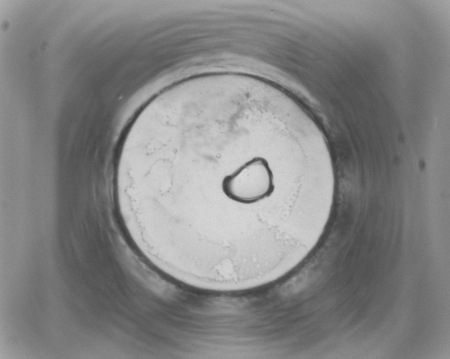 X0000066971514200603271155