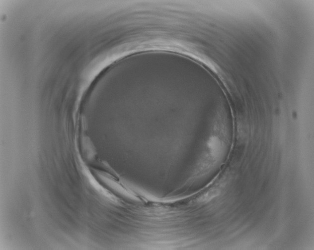 X0000066971515200603271155