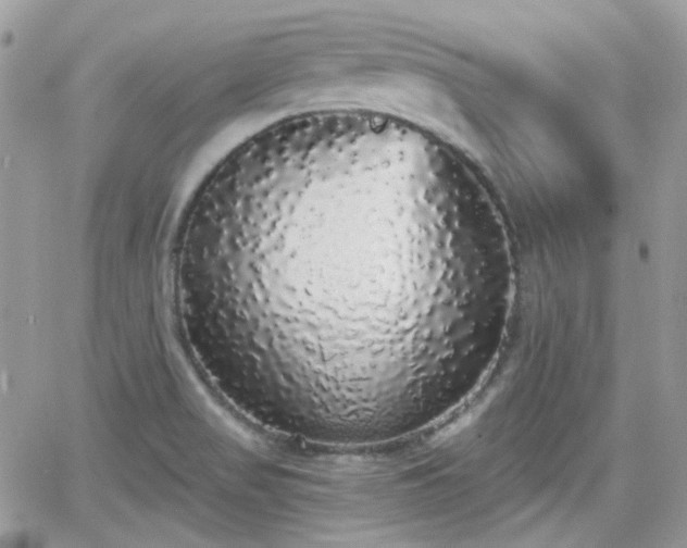 X0000066971517200603271155