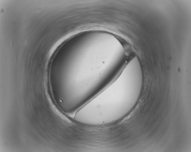 X0000066971518200603271155