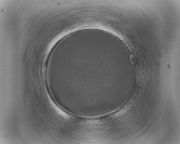 X0000066971519200603271155