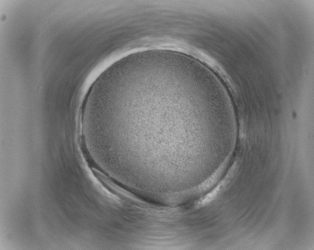 X0000066971520200603271155