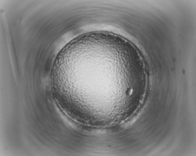 X0000066971521200603271155