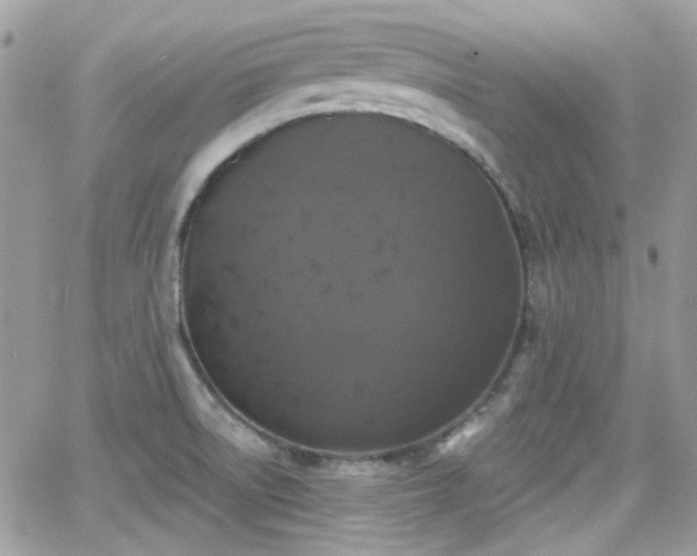 X0000066971522200603271155