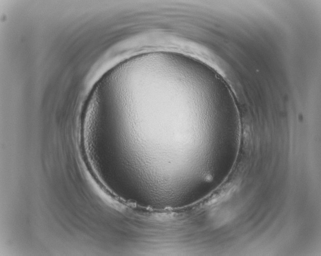 X0000066971523200603271155