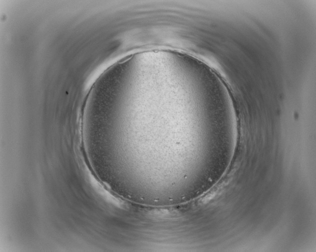 X0000066971524200603271155