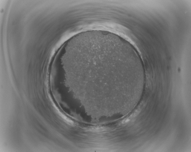 X0000066971525200603271155