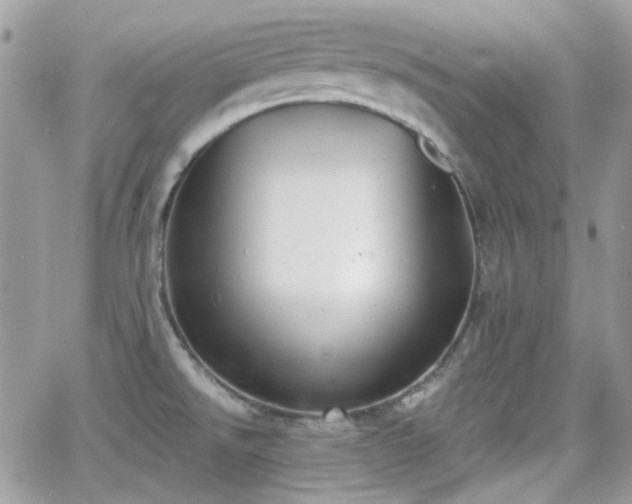 X0000066971526200603271155