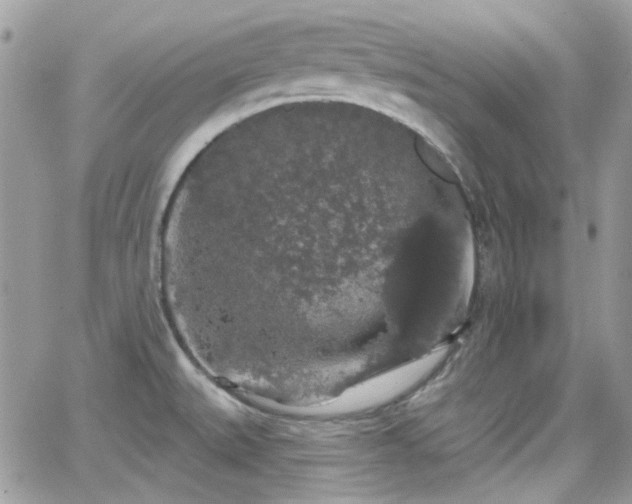 X0000066971527200603271155