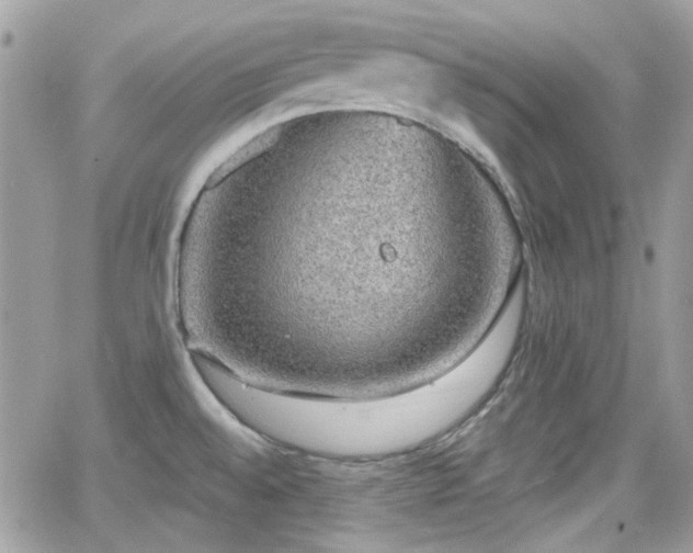 X0000066971528200603271155