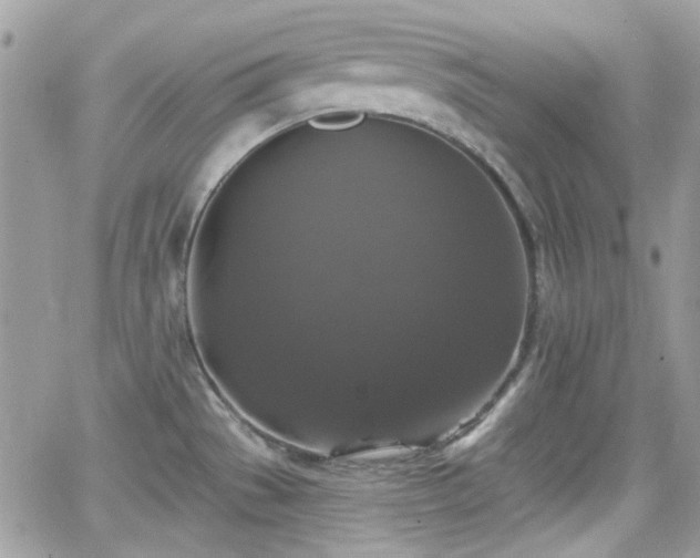 X0000066971529200603271155