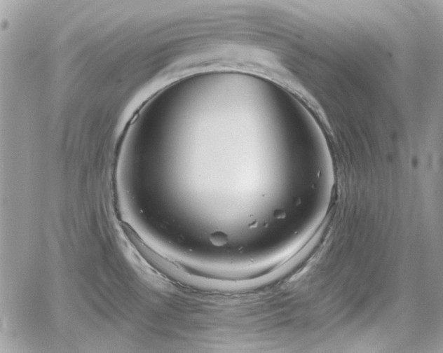 X0000066971530200603271155