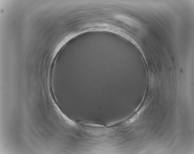 X0000066971533200603271155