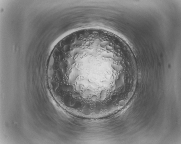 X0000066971534200603271155