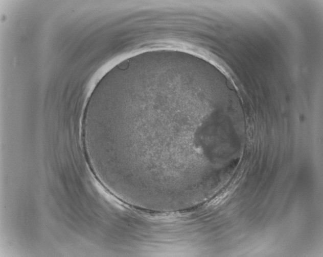 X0000066971535200603271155